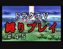【ドラクエ5 縛りプレイ】天空への塔を進めるよ！あ、選択肢間違えた。Part45【アルカリ性】