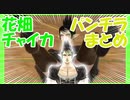 【無修正】花畑チャイカパンチラまとめ【スパッツなし】