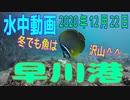 水中動画（2020年12月22日）in 早川港