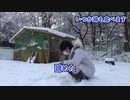 雪と烏骨鶏　最高のTKG35　The road to Golden 'Rice with raw egg'!!!　ep35