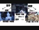 住宅街の護り猫トリオ、三すくみで共に生きる