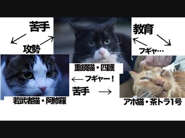 人気の 茶トラ1号 動画 116本 ニコニコ動画