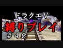 【ドラクエ5 縛りプレイ】洞窟でレベリングしながら探索も進むかも？Part46【アルカリ性】