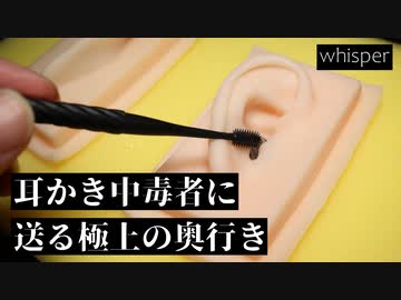 【ASMR】もう耳かきする必要がなくなる(わけがない)リアルな奥行き耳かき (声あり) 【音フェチ】