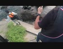 友達と3人でアオリイカを狙ってエギングした結果まさかの！！！！