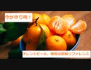 【スパイスを知ろう！】オレンジピールと陳皮を知ろう！【part26】