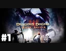 仕事辞めたので覚者になる。#1【ドラゴンズドグマダークアリズン】【DDDA】