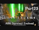 二人でドラゴンを倒すARK part ２3 【ARK:Survival Evolved】