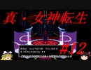 【ゆっくり実況】 真・女神転生 #12（SFC版）