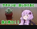 サボテンに話しかけるゆかりさん「理由」