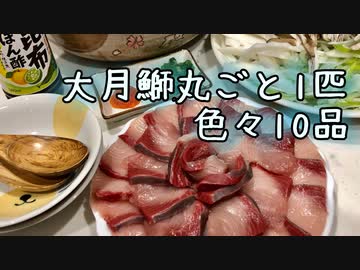 【大月鰤】ブリ丸ごと1匹で色々10品 作ってみた