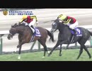 2020 有馬記念