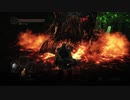 【DARK SOULS Ⅱ SCHOLAR OF THE FIRST SIN】-絶望を焚べよ-　１週目を普通に攻略　～其の１６～【ダクソ２】