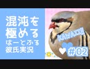混沌を極める鳥類乙女ゲーム【はーとふる彼氏】実況　#2