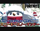 【Fortnite】オペレーションスノーダウンクエスト10日目”複数のマッチでスニーキースノーマンドーの中に隠れる”【チャプター2シーズン5】