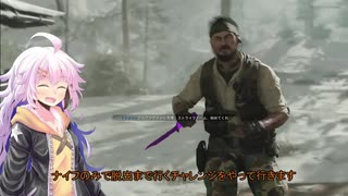KIZUNA THE ANVIL【COD:BOCW】