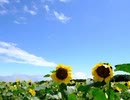 悔いなき門出を【初音ミク】-ワタシ天使