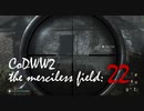 CoDWWⅡ the merciless field: 22
