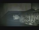 まったりが終始うるさい「零～月蝕の仮面～」 part41