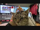 【バイク車載】バイクに乗って、撮影する動画　Part.2 大阪峠　前編【徳島県香川県】