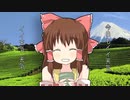 【再】茶つみ.mp4