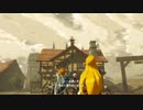 【イーガ団との激闘】ゼルダ無双-厄災の黙示録-#7