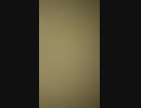【BTS feat NEGOTEEN②】【DOPE前回より低めに歌ってみた、これはどう？】