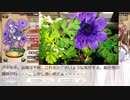 憎き害虫をコロコロするフラワーナイトガール　Part150