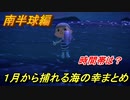 あつまれどうぶつの森　１月から捕れる海の幸まとめ！南半球編！　【あつ森】