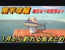 あつまれどうぶつの森　１月から釣れる魚まとめ！釣れる場所と時間帯も紹介！南半球編！　【あつ森】