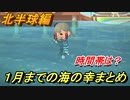 あつまれどうぶつの森　１月までの海の幸まとめ！（北半球編）早めに捕っておきましょう！　【あつ森】