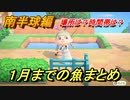 あつまれどうぶつの森　１月までの魚まとめ！場所と時間帯も紹介（南半球編）早めに釣っておきましょう！　【あつ森】