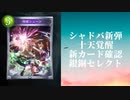 【シャドウバース】【ゆっくり雑談】＜Eternal Awakening 十天覚醒＞新カード確認動画 銅銀セレクト