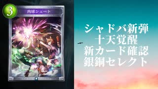 【シャドウバース】【ゆっくり雑談】＜Eternal Awakening 十天覚醒＞新カード確認動画 銅銀セレクト