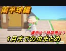 あつまれどうぶつの森　１月までの虫まとめ！場所と時間帯も紹介！（南半球編）　【あつ森】