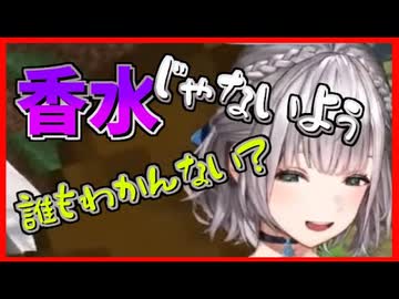 【ホロライブ切り抜き】超絶高難度のクイズでリスナーを翻弄する団長【白銀ノエル】