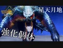 【実況】お前の肉質、理解したぞ!ナルガクルガ希少種は下半身が弱いんだってな!!!!!【MH3G.HDver】