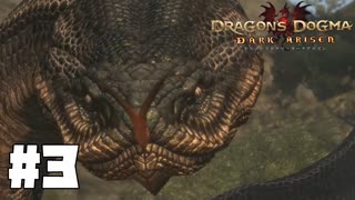 仕事辞めたので覚者になる。#3【ドラゴンズドグマダークアリズン】【DDDA】