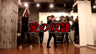 【コピユニWEST】愛の奴隷【踊ってみた】