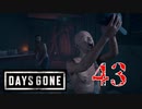 【Days Gone】お気に入りの帽子が見つかったんだね【PART43】