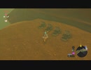 【ゆっくり実況】　ゼルダの伝説BotW　#55