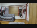 あいみょん/マリーゴールド を弾いてみた。