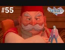ダイエット実況【ドラゴンクエストⅪS】ヨッチのせいでロウが意地でも見た目装備をつけてくれない…Season2#55
