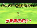 ポケモンピカブイ　キャタピーを捕まえる方法！出現場所紹介！図鑑コンプへの道！　【ポケットモンスター Let's Go! ピカチュウ・イーブイ】