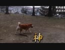 【Q-CHAN牧師】天罰？盗撮してたらひっくり返ったＱ牧師