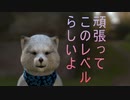 12月30日　お誕生日おめでとう　ニコニコ動画は　12月31日で　配信一時止めます。