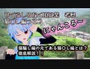 【ひぐらしのなく頃に業】猫騙し編の元となる猫〇し編とはどんな話だったのか？【考察動画】