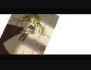 【Tómur】歌ってみた　Verノ〇
