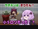 サボテンに話しかけるゆかりさん「サボテンは小5ロリである」