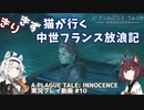 【A PLAGUE TALE: INNOCENCE】きりきず猫が行く 中世フランス放浪記 第10話【きりきず実況】
